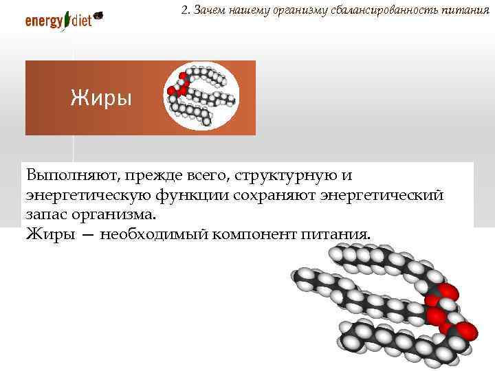 2. Зачем нашему организму сбалансированность питания Жиры Выполняют, прежде всего, структурную и энергетическую функции