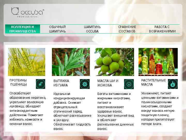 КОЛЛЕКЦИЯ И ПРЕИМУЩЕСТВА ОБЫЧНЫЙ ШАМПУНЬ OCCUBA СРАВНЕНИЕ СОСТАВОВ РАБОТА С ВОЗРАЖЕНИЯМИ ПРОТЕИНЫ ПШЕНИЦЫ ВЫТЯЖКА