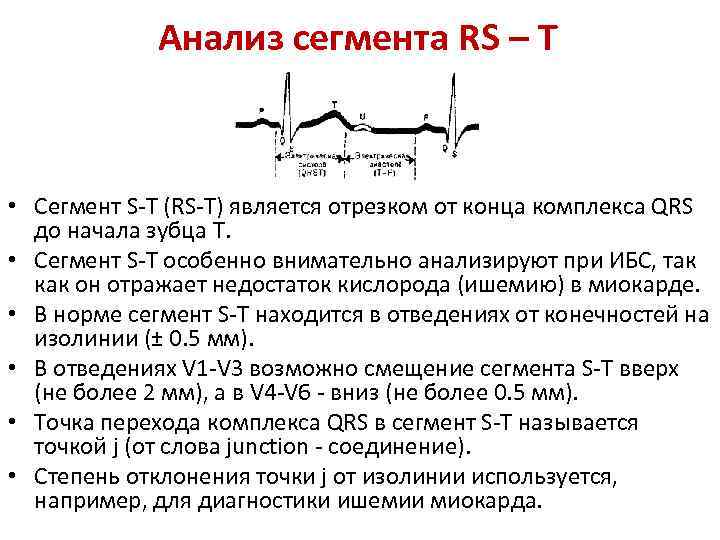 Сегмент являются