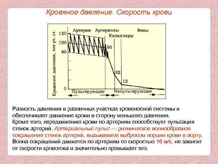 Кровяное давление. Скорость крови Разность давления в различных участках кровеносной системы и обеспечивает движение