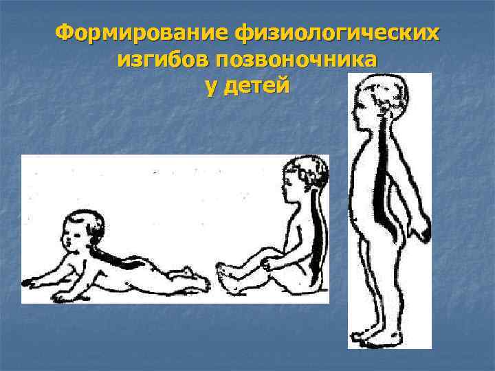 Формирование физиологических изгибов позвоночника у детей 