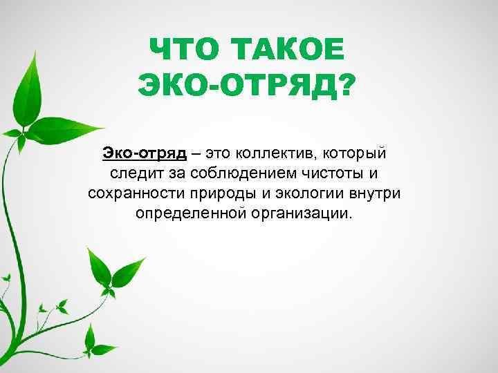 ЧТО ТАКОЕ ЭКО-ОТРЯД? Эко-отряд – это коллектив, который следит за соблюдением чистоты и сохранности