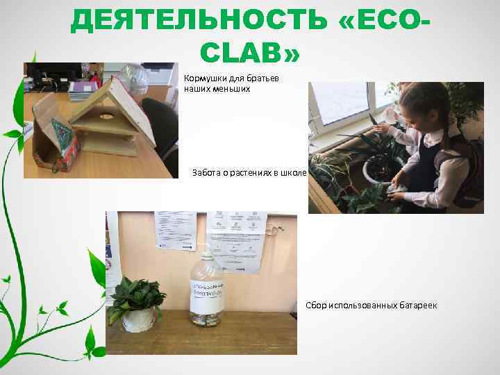 ДЕЯТЕЛЬНОСТЬ «ECOCLAB» Кормушки для братьев наших меньших Забота о растениях в школе Сбор использованных