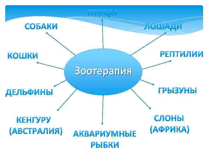 Зоотерапия 