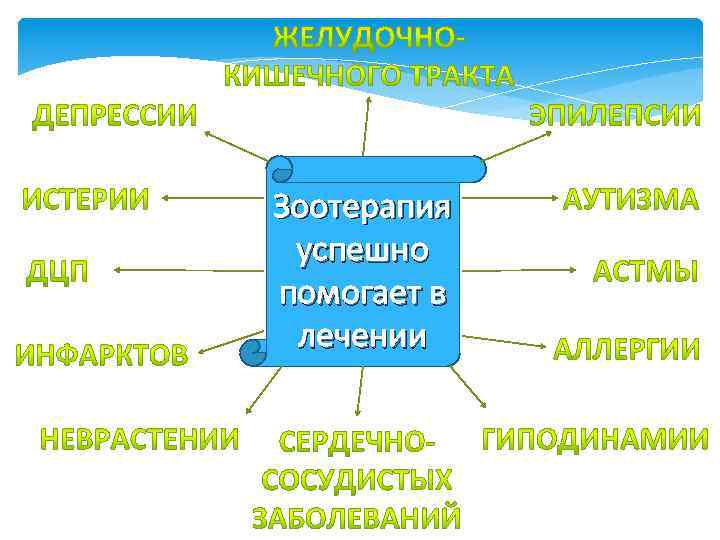 Зоотерапия успешно помогает в лечении 