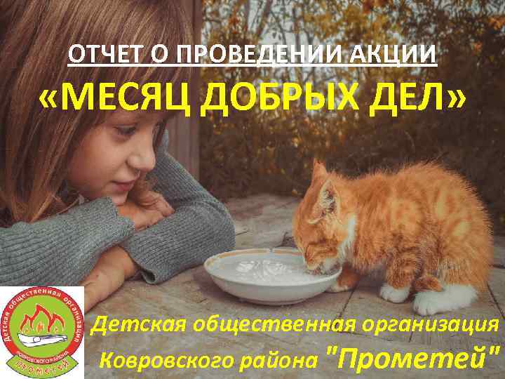 ОТЧЕТ О ПРОВЕДЕНИИ АКЦИИ «МЕСЯЦ ДОБРЫХ ДЕЛ» Детская общественная организация Ковровского района "Прометей" 