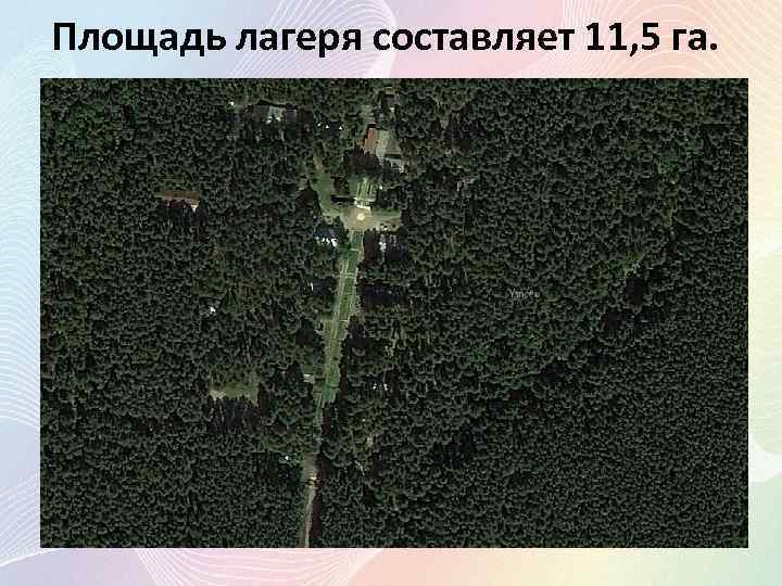 Площадь лагеря составляет 11, 5 га. 