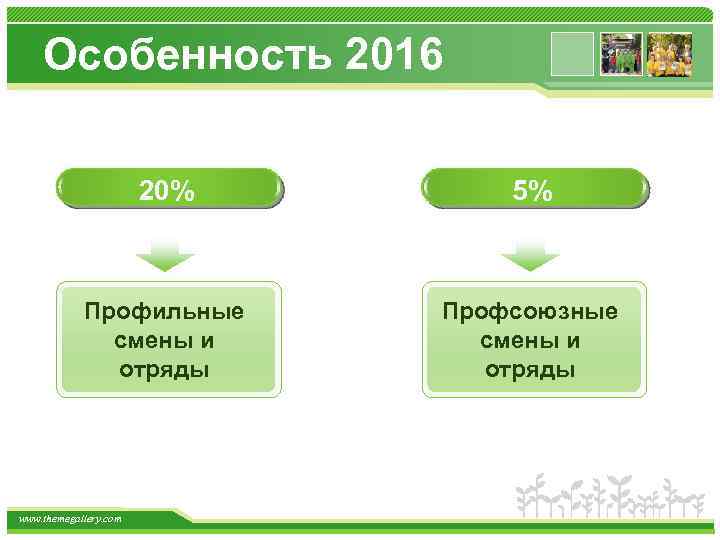 Особенность 2016 20% 5% Профильные смены и отряды Профсоюзные смены и отряды www. themegallery.