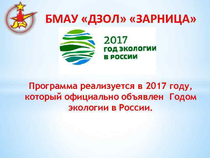 БМАУ «ДЗОЛ» «ЗАРНИЦА» Программа реализуется в 2017 году, который официально объявлен Годом экологии в