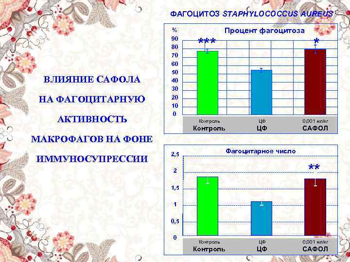 ФАГОЦИТОЗ STAPHYLOCOCCUS AUREUS ВЛИЯНИЕ САФОЛА НА ФАГОЦИТАРНУЮ АКТИВНОСТЬ % 90 80 70 60 50