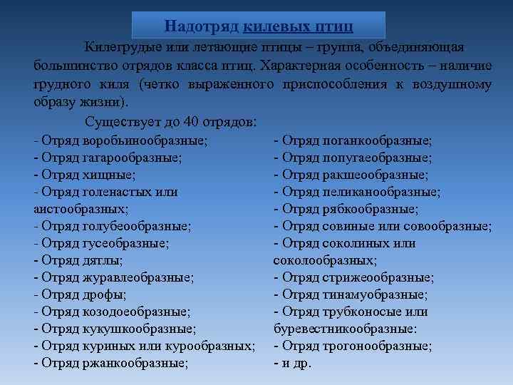 Надотряд килевых птиц Килегрудые или летающие птицы – группа, объединяющая большинство отрядов класса птиц.