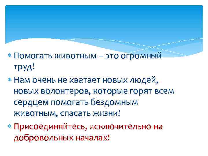  Помогать животным – это огромный труд! Нам очень не хватает новых людей, новых