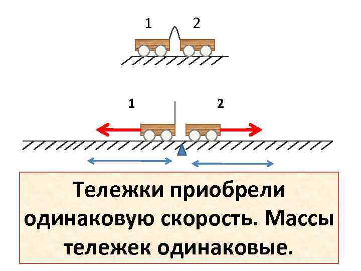 1 1 2 2 Тележки приобрели одинаковую скорость. Массы тележек одинаковые. 