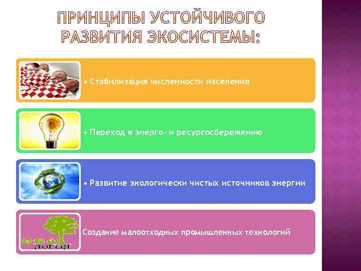  • Стабилизация численности населения • Переход к энерго- и ресурсосбережению • Развитие экологически