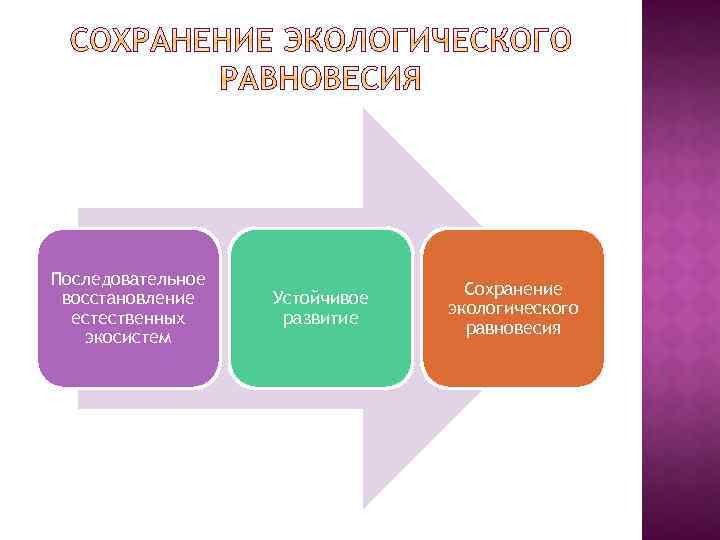 Последовательное восстановление естественных экосистем Устойчивое развитие Сохранение экологического равновесия 