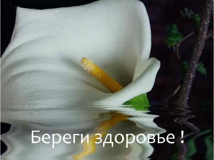 Береги здоровье ! 