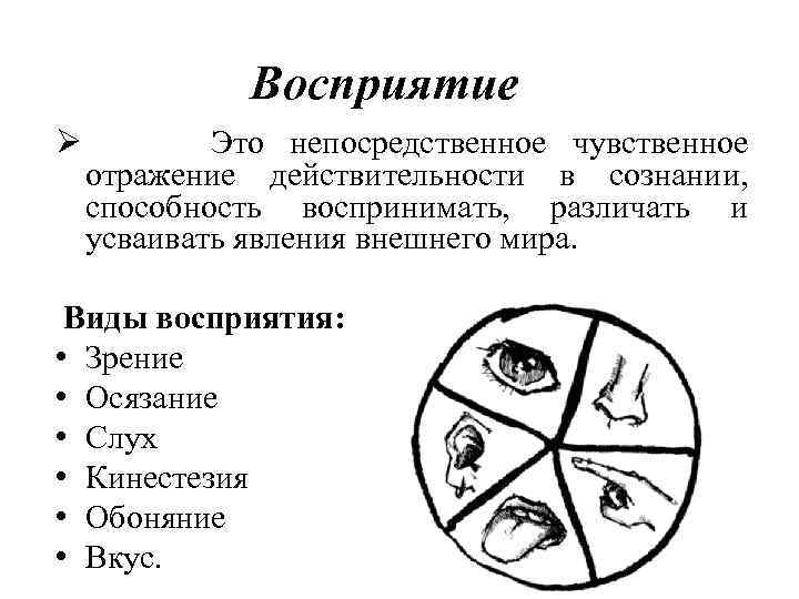 Восприятие Ø Это непосредственное чувственное отражение действительности в сознании, способность воспринимать, различать и усваивать