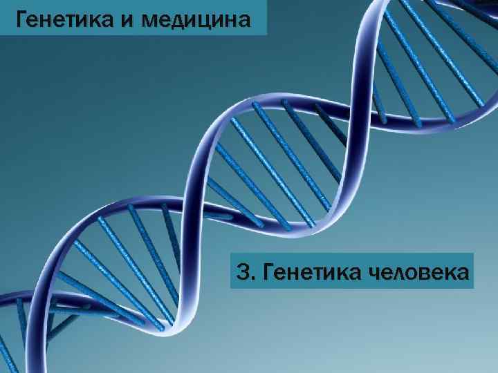 Генетика и медицина 3. Генетика человека 