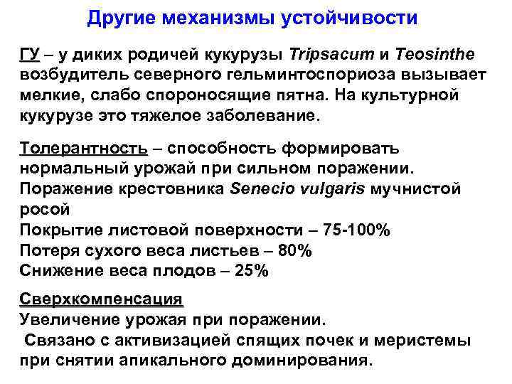Другие механизмы устойчивости ГУ – у диких родичей кукурузы Tripsacum и Teosinthe возбудитель северного