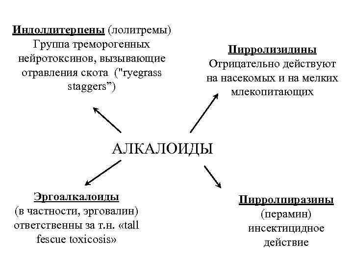 Индолдитерпены (лолитремы) Группа треморогенных нейротоксинов, вызывающие отравления скота ("ryegrass staggers”) Пирролизидины Отрицательно действуют на