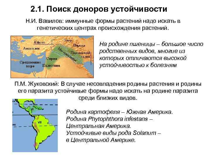 2. 1. Поиск доноров устойчивости Н. И. Вавилов: иммунные формы растений надо искать в