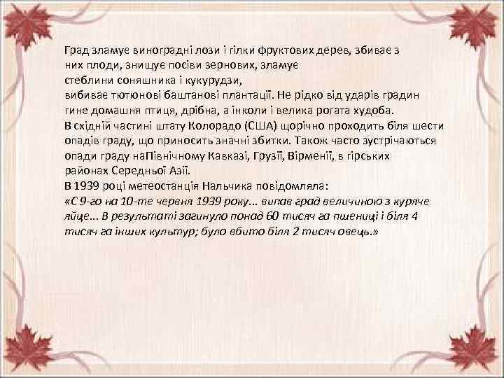 Град зламує виноградні лози і гілки фруктових дерев, збиває з них плоди, знищує посіви