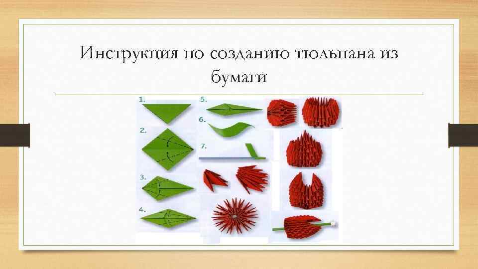 Инструкция по созданию тюльпана из бумаги 