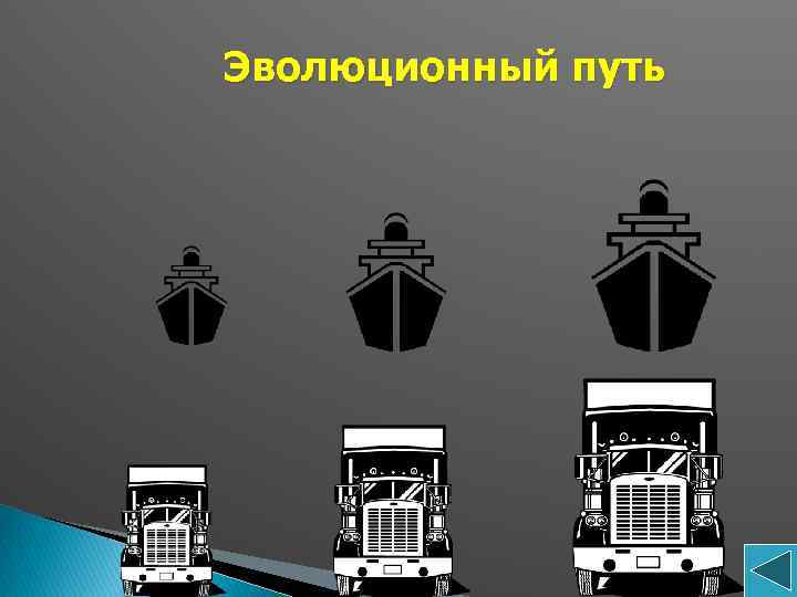 Эволюционный путь 