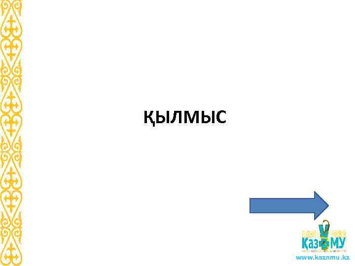 ҚЫЛМЫС www. kaznmu. kz 