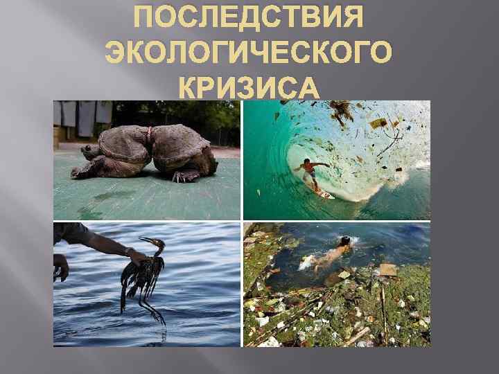 ПОСЛЕДСТВИЯ ЭКОЛОГИЧЕСКОГО КРИЗИСА 