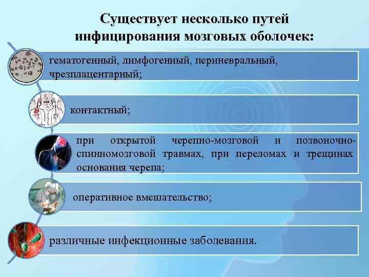 Существует несколько путей инфицирования мозговых оболочек: гематогенный, лимфогенный, периневральный, чрезплацентарный; контактный; при открытой черепно