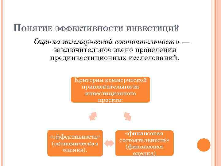 Понятие эффективности проекта