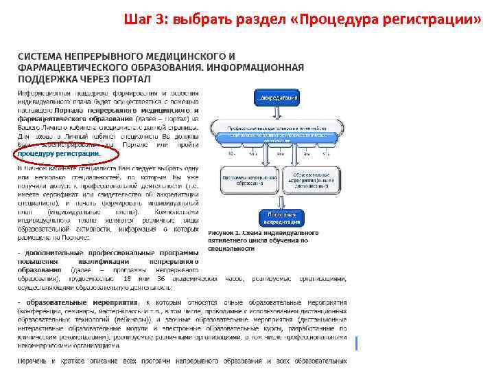 Шаг 3: выбрать раздел «Процедура регистрации» 