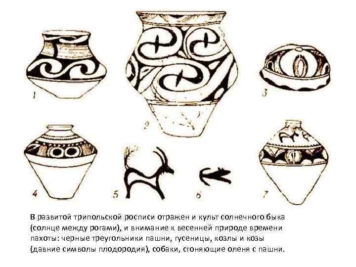 В развитой трипольской росписи отражен и культ солнечного быка (солнце между рогами), и внимание