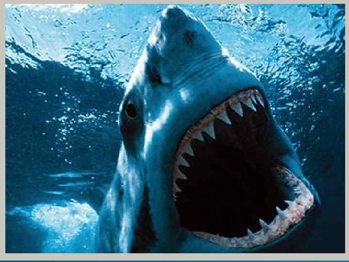 Я ПРИВЕДУ ПРИМЕРЫ. . . 