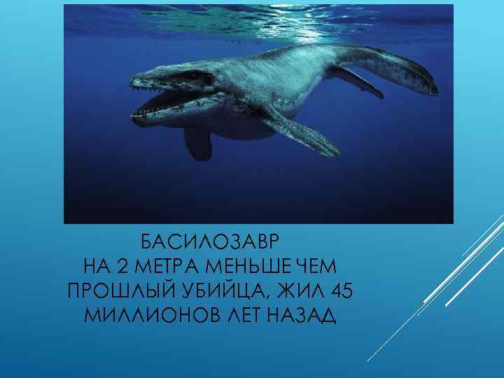 БАСИЛОЗАВР НА 2 МЕТРА МЕНЬШЕ ЧЕМ ПРОШЛЫЙ УБИЙЦА, ЖИЛ 45 МИЛЛИОНОВ ЛЕТ НАЗАД 
