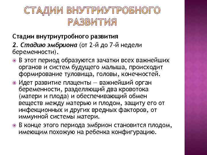 Стадии внутриутробного развития 2. Стадию эмбриона (от 2 -й до 7 -й недели беременности).