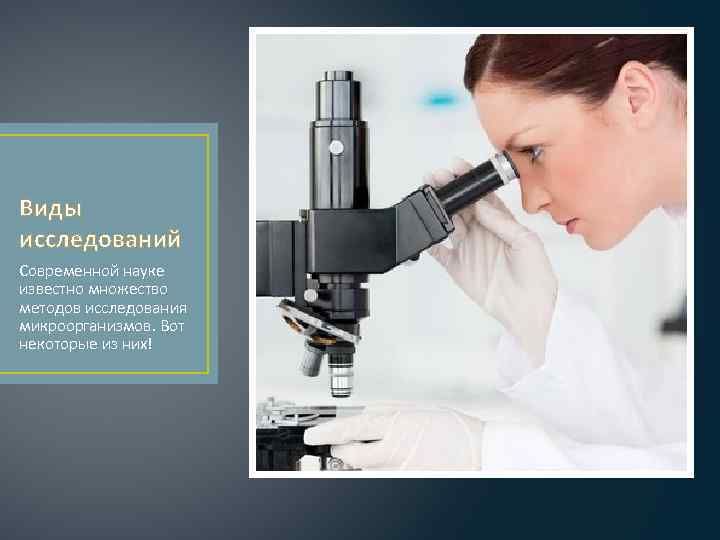 Виды исследований Современной науке известно множество методов исследования микроорганизмов. Вот некоторые из них! 
