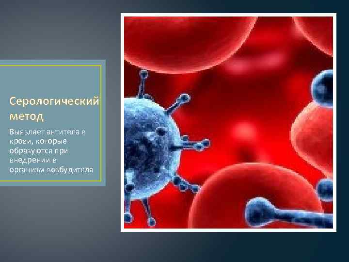 Серологический метод Выявляет антитела в крови, которые образуются при внедрении в организм возбудителя 