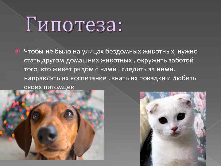 Гипотеза: Чтобы не было на улицах бездомных животных, нужно стать другом домашних животных ,