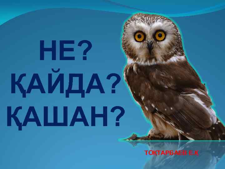 НЕ? ҚАЙДА? ҚАШАН? ТОҚТАРБАЕВ Е. Қ 