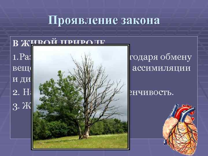 Проявление закона В ЖИВОЙ ПРИРОДЕ 1. Развитие организмов благодаря обмену веществ и взаимодействию ассимиляции