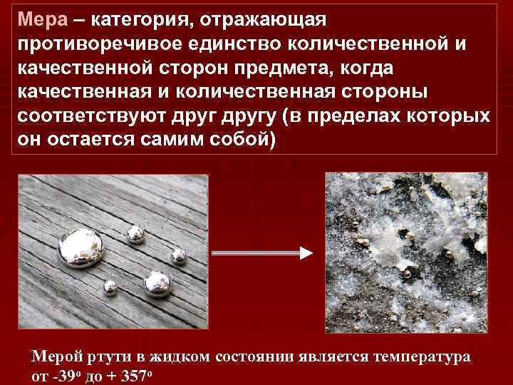 Мера – категория, отражающая противоречивое единство количественной и качественной сторон предмета, когда качественная и