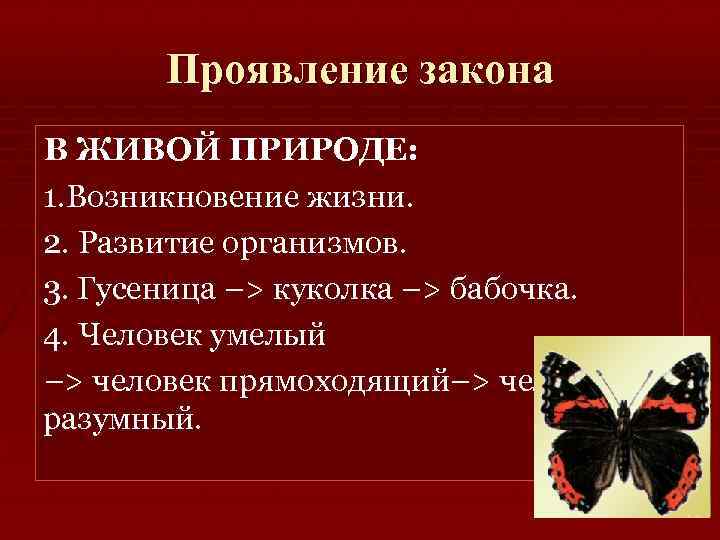 Проявление закона В ЖИВОЙ ПРИРОДЕ: 1. Возникновение жизни. 2. Развитие организмов. 3. Гусеница –>
