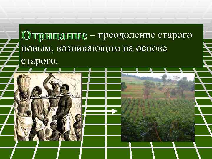 Отрицание – преодоление старого новым, возникающим на основе старого. 