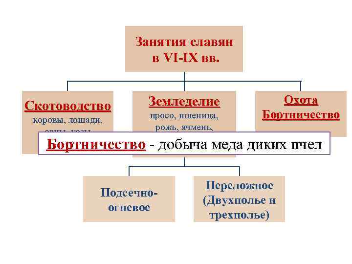 Занятия славян в VI-IX вв. Скотоводство коровы, лошади, овцы, козы, свиньи Земледелие просо, пшеница,