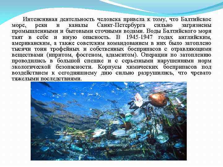 Интенсивная деятельность человека привела к тому, что Балтийское море, реки и каналы Санкт-Петербурга сильно