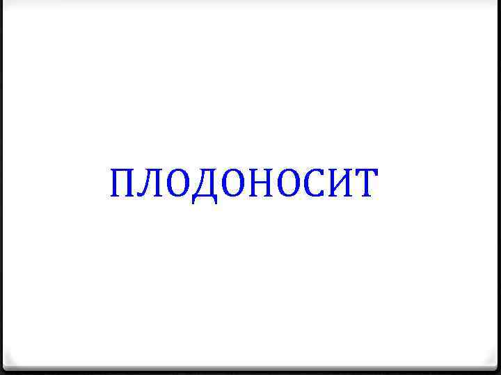 ПЛОДОНОСИТ 