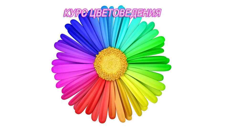 цветоведения 