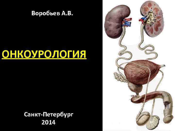 Воробьев А. В. ОНКОУРОЛОГИЯ Санкт-Петербург 2014 